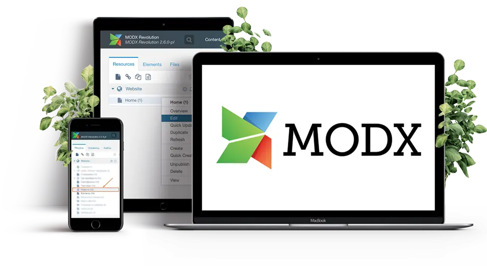 Блог Парадигма Жизни - Modx: Мощный и гибкий инструмент для создания сайтов любой сложности
